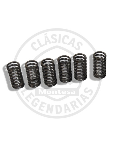Juego muelles embrague Montesa Cota 315R 1999 a 2004