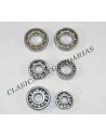 kit rodamientos motor Cota 309 - 310 ref.396205
