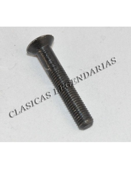 Tornillo tapa Embrague Enduro y Cappra largo ref.666011201