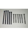 Tornillos carter central cota 348 juego Ref 9007120