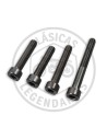 Magnetic flywheel cover screws Dimension 307-335-330-304 ref.009100105040331