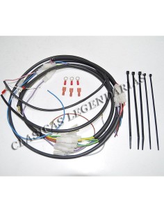 Instalacion Electrica Enduro 250 - 360 H6 ref. 547003402