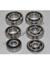 Kit Rodamientos motor Enduro-cappra-crono ref.099620505