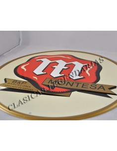 Anagrama Placa Brio 30 cm Ref 1108 2