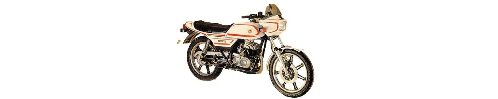 Montesa Crono 125 y 350