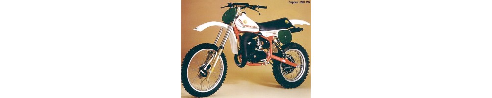Montesa Cappra 250 VG 1981
