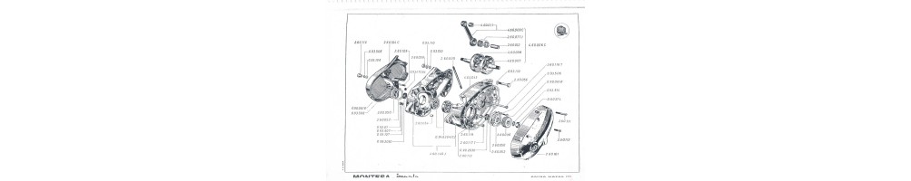 CATALOGO IMPALA